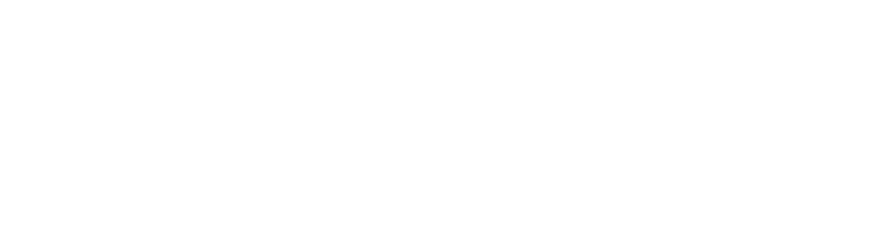 Connexion Logo